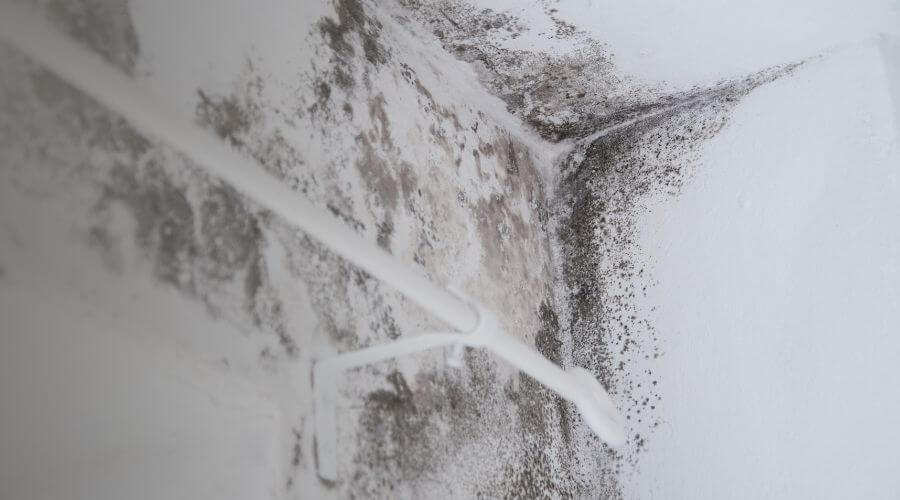 Why choose PrismNest for water damage restoration in Roanoke